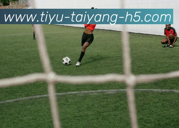 太阳城APP 高清赛事图